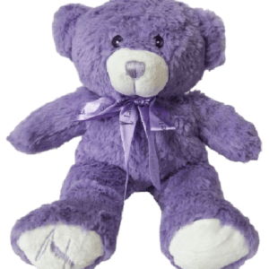 Heat Pack — Teddy Bear (30cm) Limited Edition