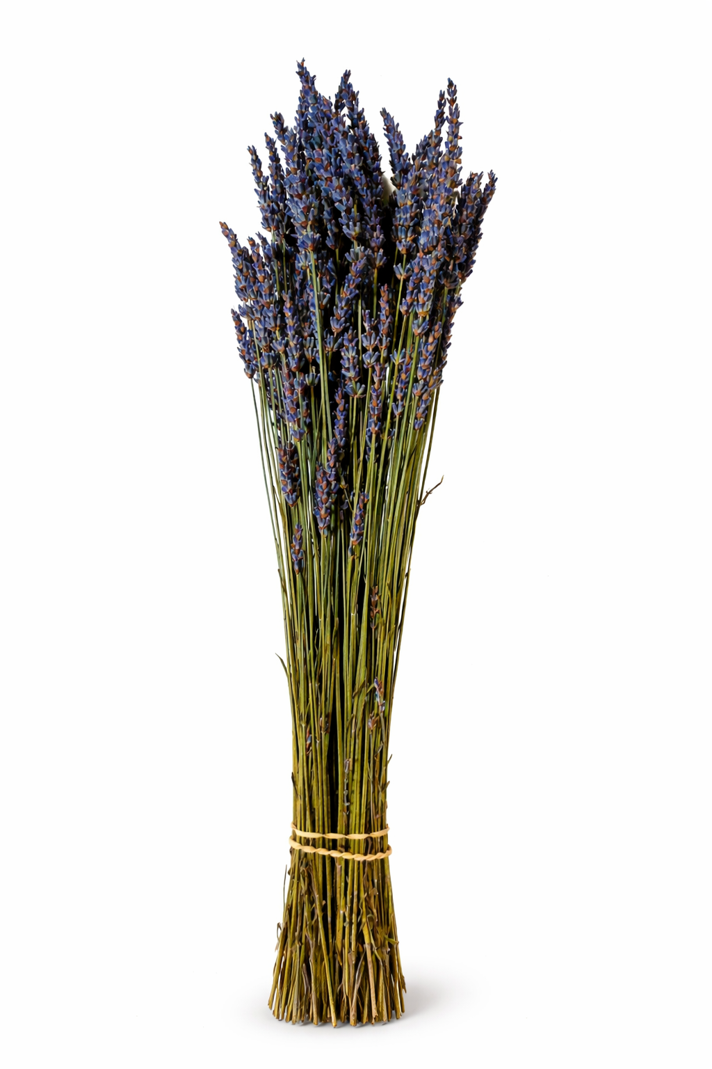 Dried Lavender