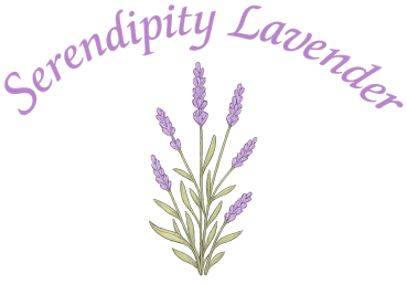 Serendipity Lavender Farm